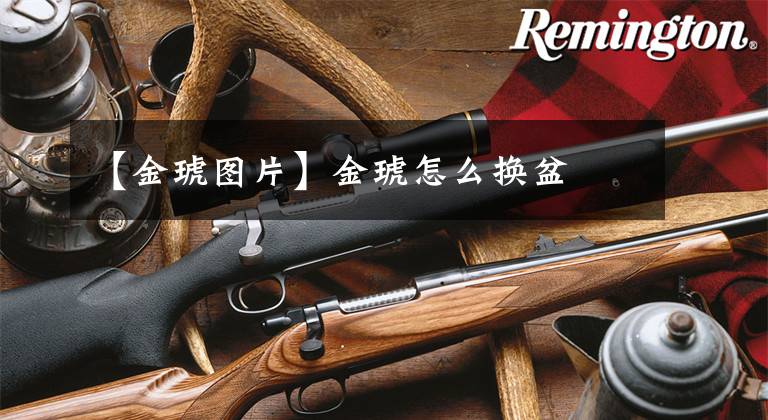 【金琥图片】金琥怎么换盆