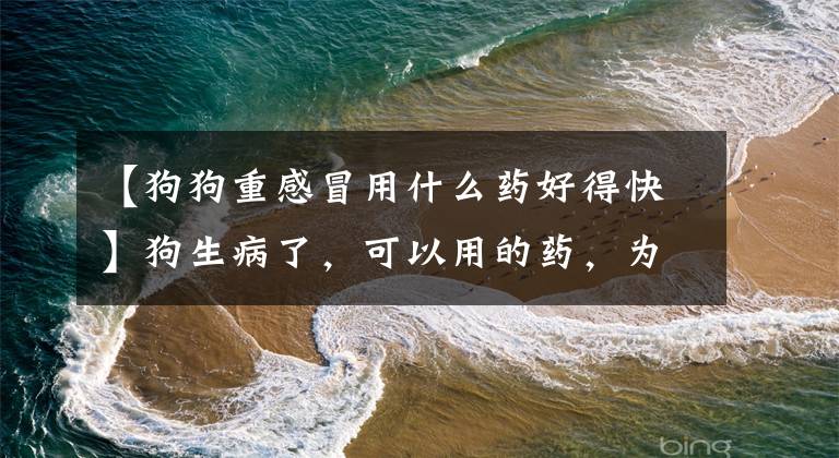 【狗狗重感冒用什么药好得快】狗生病了，可以用的药，为了以防万一，马起来了