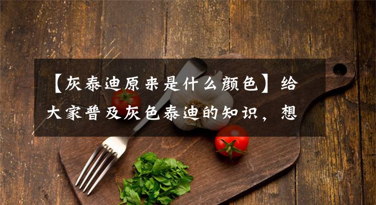 【灰泰迪原来是什么颜色】给大家普及灰色泰迪的知识，想买灰色泰迪的同学们先看看吧！
