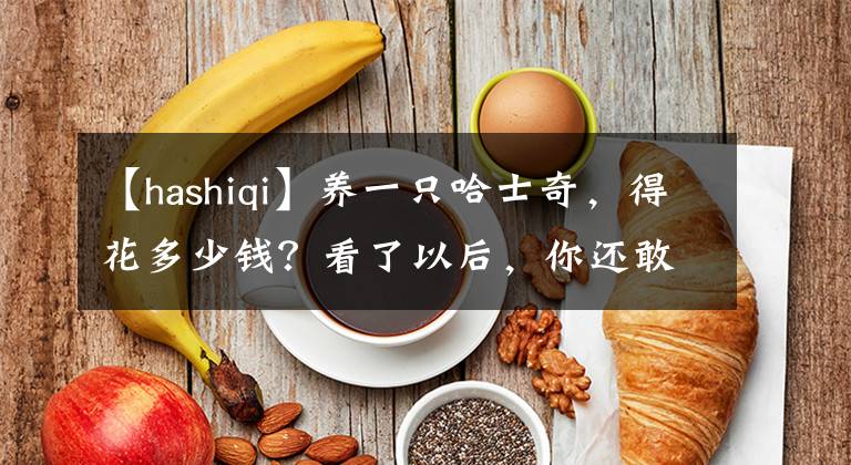 【hashiqi】养一只哈士奇，得花多少钱？看了以后，你还敢养吗