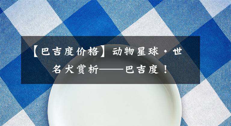 【巴吉度价格】动物星球·世界名犬赏析——巴吉度！