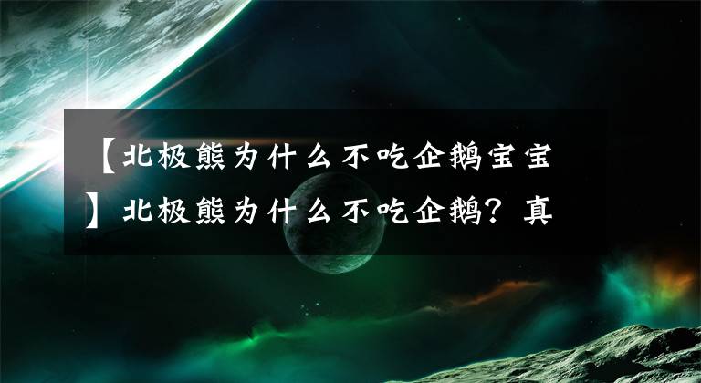 【北极熊为什么不吃企鹅宝宝】北极熊为什么不吃企鹅？真相值得我们去了解