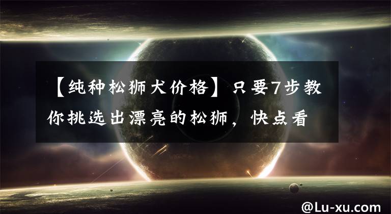 【纯种松狮犬价格】只要7步教你挑选出漂亮的松狮，快点看看你家松狮纯不纯