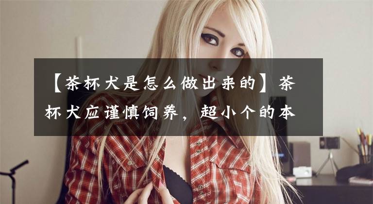 【茶杯犬是怎么做出来的】茶杯犬应谨慎饲养，超小个的本质为畸形，爱狗狗则不应该养茶杯
