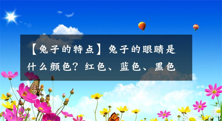 【兔子的特点】兔子的眼睛是什么颜色？红色、蓝色、黑色，还是灰色？