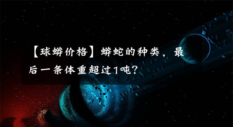 【球蟒价格】蟒蛇的种类，最后一条体重超过1吨？
