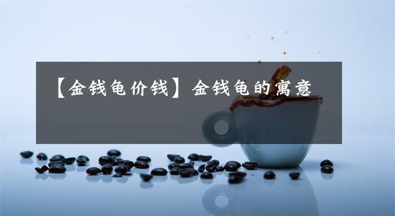 【金钱龟价钱】金钱龟的寓意
