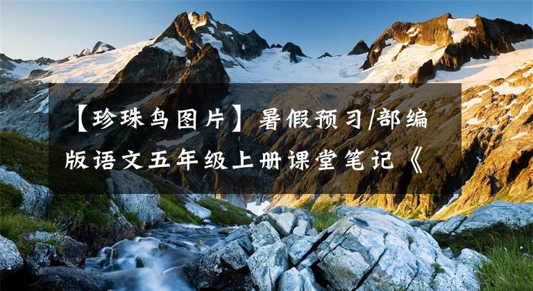 【珍珠鸟图片】暑假预习/部编版语文五年级上册课堂笔记《4.珍珠鸟》