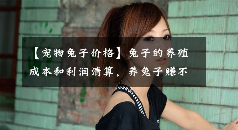 【宠物兔子价格】兔子的养殖成本和利润清算，养兔子赚不赚钱一目了然