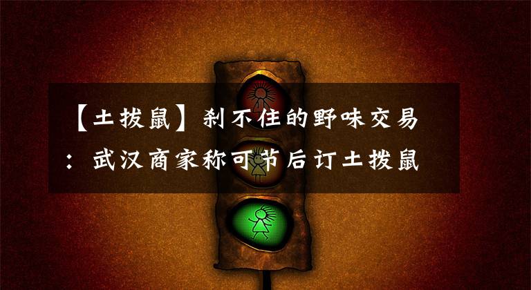 【土拔鼠】刹不住的野味交易：武汉商家称可节后订土拨鼠，佛山一市场暗售果子狸