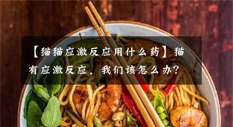 【猫猫应激反应用什么药】猫有应激反应，我们该怎么办？