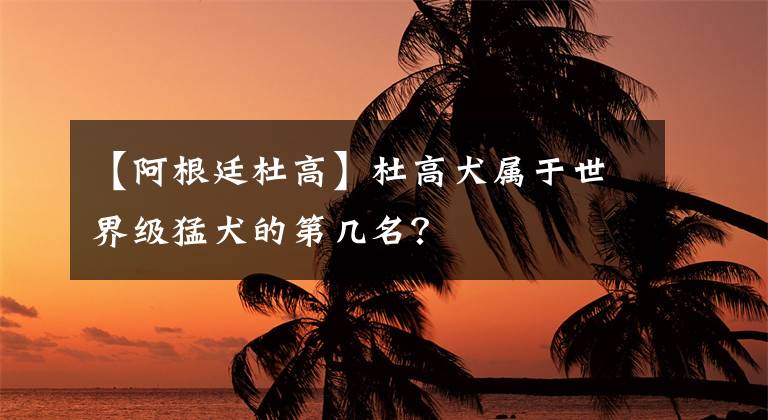 【阿根廷杜高】杜高犬属于世界级猛犬的第几名？
