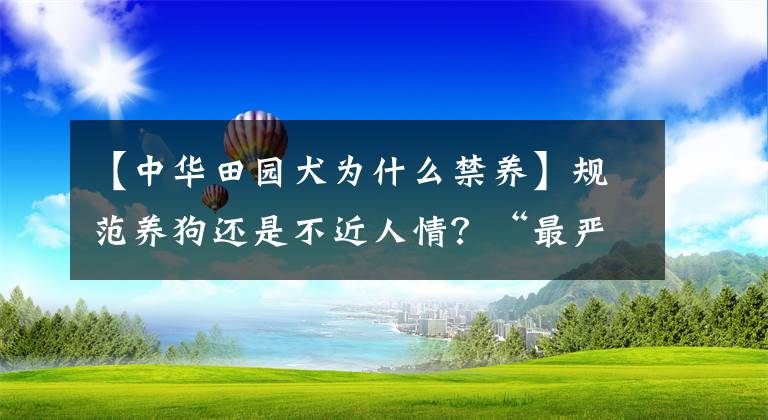 【中华田园犬为什么禁养】规范养狗还是不近人情？“最严养狗令”出台 中华田园犬被禁养
