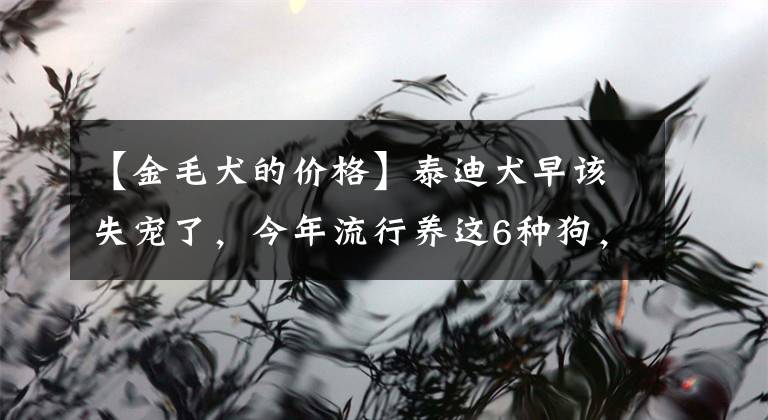 【金毛犬的价格】泰迪犬早该失宠了，今年流行养这6种狗，好养又不贵