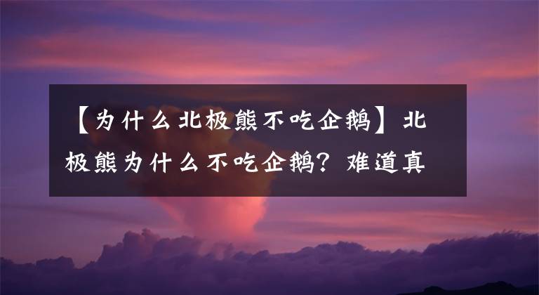 【为什么北极熊不吃企鹅】北极熊为什么不吃企鹅？难道真的是因为吃不到吗？答案并不是！