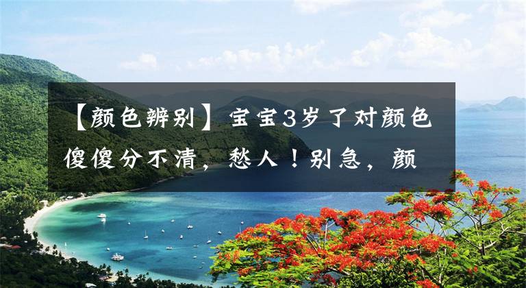 【颜色辨别】宝宝3岁了对颜色傻傻分不清，愁人！别急，颜色记忆这样教，试试
