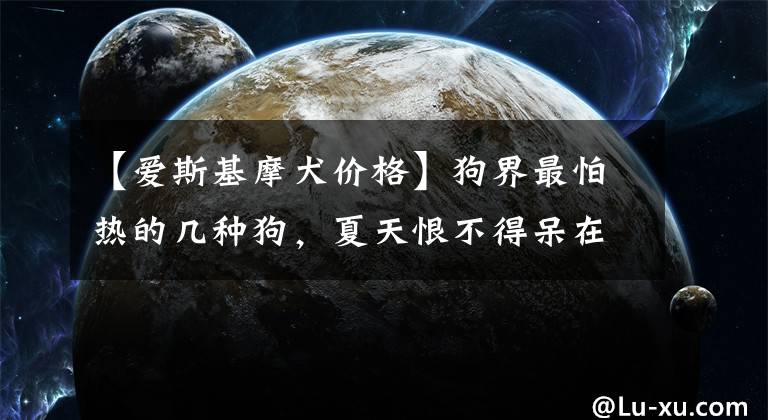 【爱斯基摩犬价格】狗界最怕热的几种狗，夏天恨不得呆在冰箱里，你家的上榜了吗？