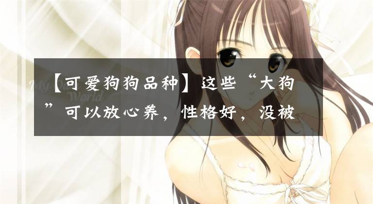 【可爱狗狗品种】这些“大狗”可以放心养，性格好，没被城市禁养