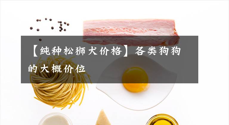 【纯种松狮犬价格】各类狗狗的大概价位