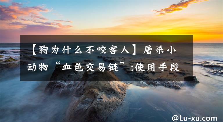【狗为什么不咬客人】屠杀小动物“血色交易链”:使用手段非常残忍，通过出售视频牟利。