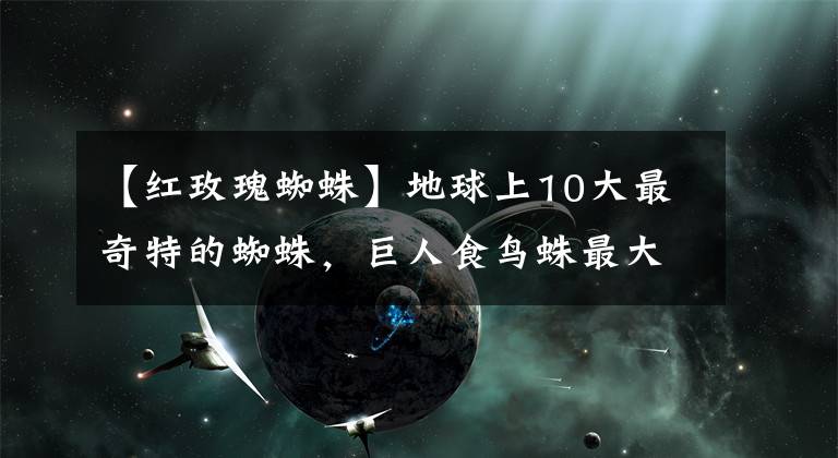 【红玫瑰蜘蛛】地球上10大最奇特的蜘蛛，巨人食鸟蛛最大，巴西漫遊蜘蛛最致命