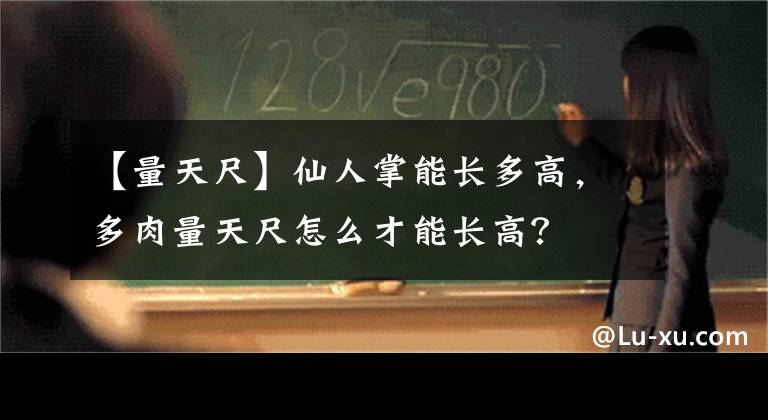 【量天尺】仙人掌能长多高，多肉量天尺怎么才能长高？