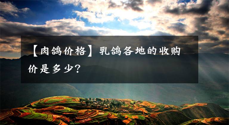 【肉鸽价格】乳鸽各地的收购价是多少？