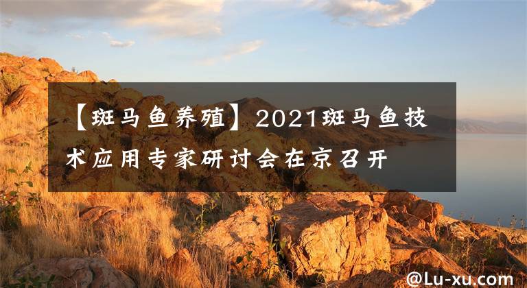 【斑马鱼养殖】2021斑马鱼技术应用专家研讨会在京召开