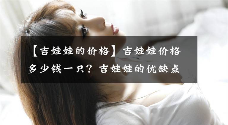 【吉娃娃的价格】吉娃娃价格多少钱一只？吉娃娃的优缺点是什么？