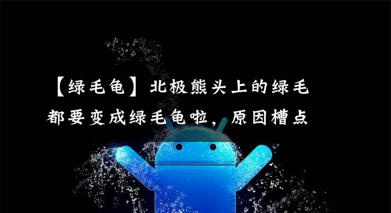 【绿毛龟】北极熊头上的绿毛都要变成绿毛龟啦，原因槽点多多让你想不到！
