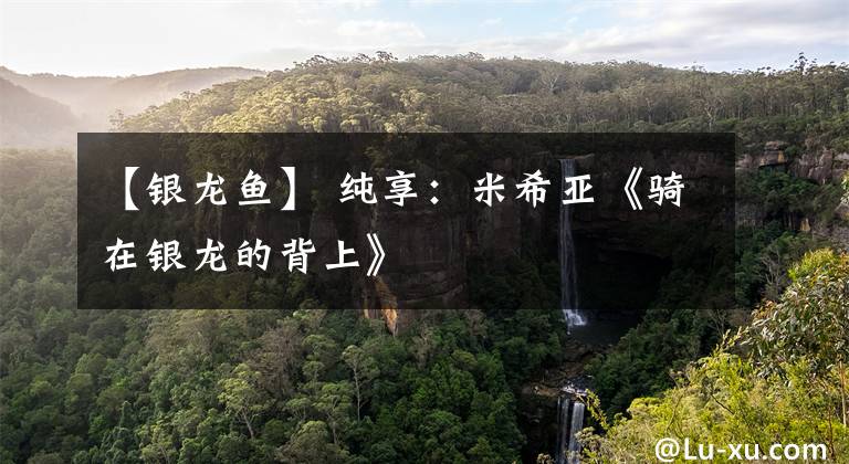【银龙鱼】 纯享：米希亚《骑在银龙的背上》