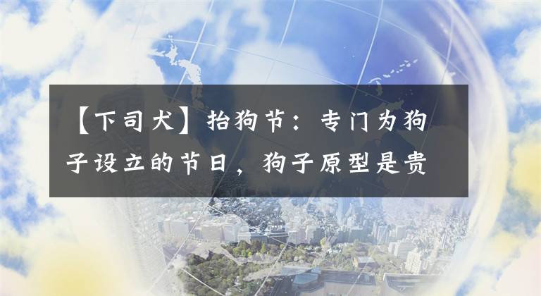【下司犬】抬狗节：专门为狗子设立的节日，狗子原型是贵州下司犬