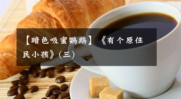 【暗色吸蜜鹦鹉】《有个原住民小孩》(三)