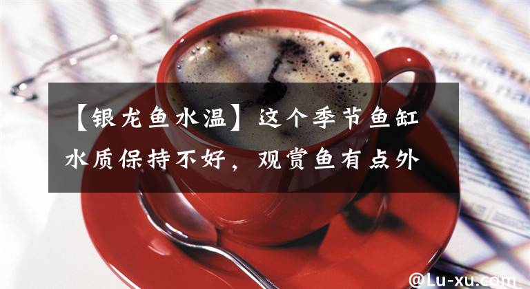 【银龙鱼水温】这个季节鱼缸水质保持不好，观赏鱼有点外伤就会感染，如何处理？