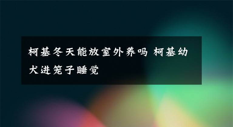 柯基冬天能放室外养吗 柯基幼犬进笼子睡觉
