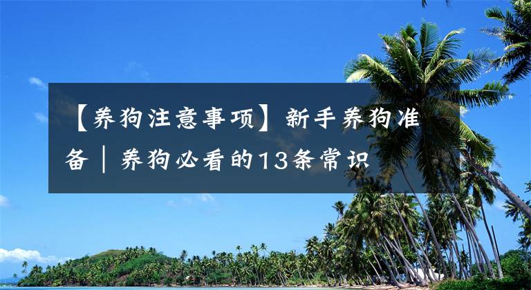 【养狗注意事项】新手养狗准备｜养狗必看的13条常识