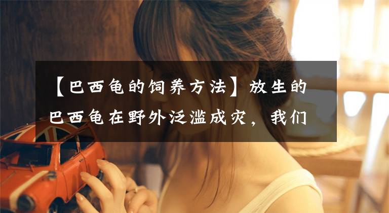【巴西龟的饲养方法】放生的巴西龟在野外泛滥成灾，我们饲养总是死，这是为什么？
