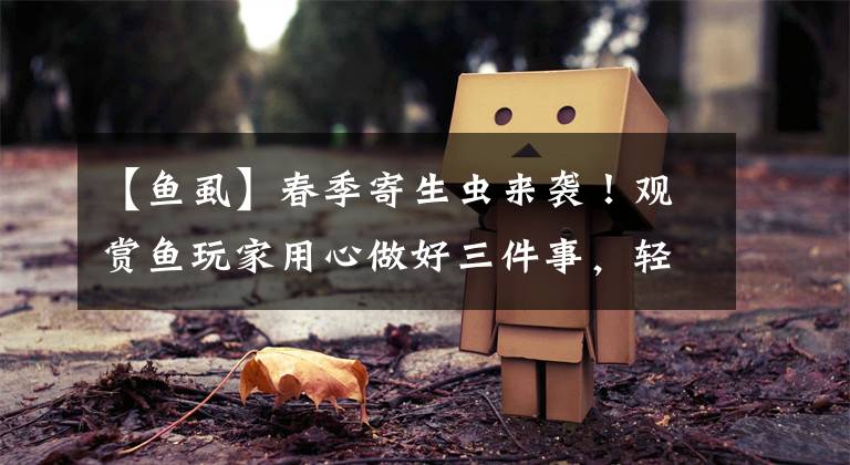 【鱼虱】春季寄生虫来袭！观赏鱼玩家用心做好三件事，轻松打赢鱼缸保卫战