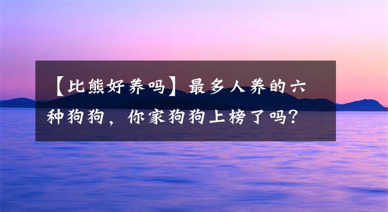 【比熊好养吗】最多人养的六种狗狗，你家狗狗上榜了吗？
