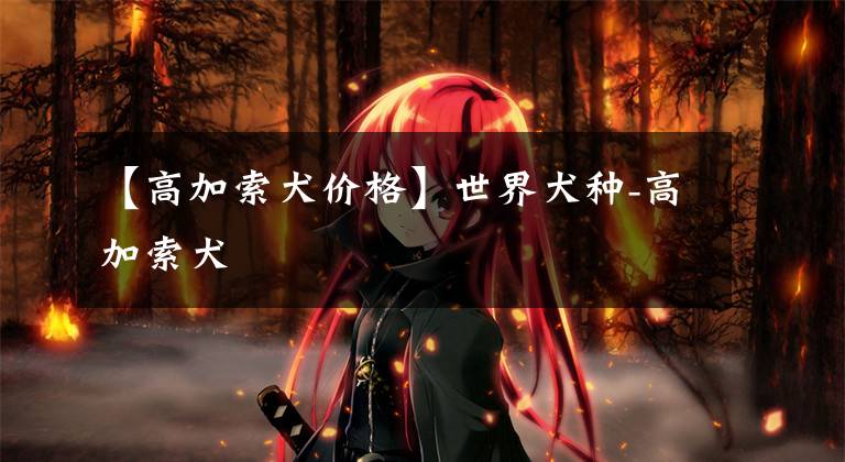 【高加索犬价格】世界犬种-高加索犬