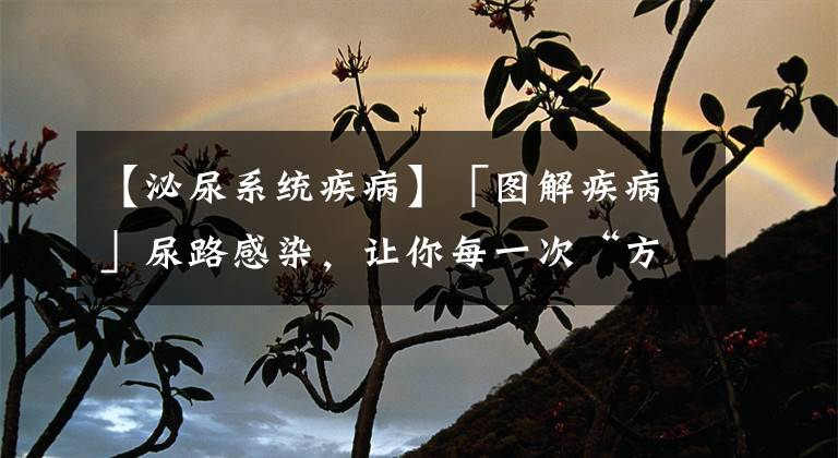 【泌尿系统疾病】「图解疾病」尿路感染，让你每一次“方便”都不方便