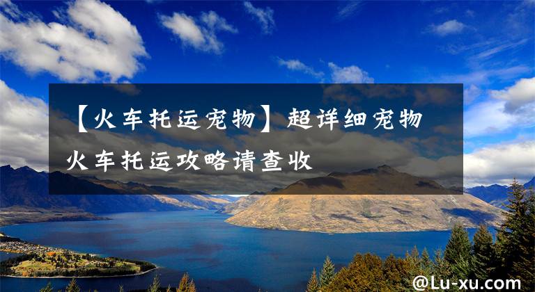 【火车托运宠物】超详细宠物火车托运攻略请查收