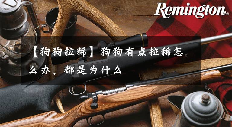 【狗狗拉稀】狗狗有点拉稀怎么办，都是为什么