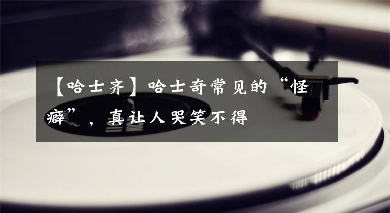【哈士齐】哈士奇常见的“怪癖”，真让人哭笑不得
