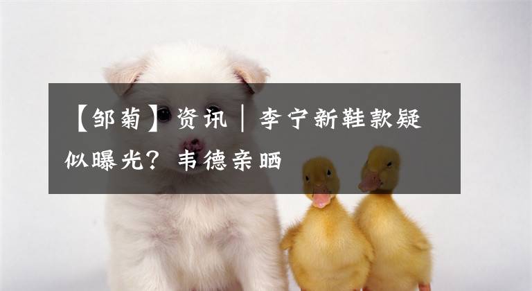 【邹菊】资讯｜李宁新鞋款疑似曝光？韦德亲晒