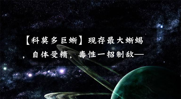 【科莫多巨蜥】现存最大蜥蜴，自体受精，毒性一招制敌——几分钟了解科莫多巨蜥