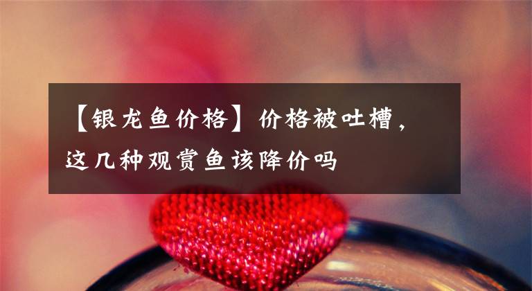【银龙鱼价格】价格被吐槽，这几种观赏鱼该降价吗
