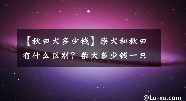 【秋田犬多少钱】柴犬和秋田有什么区别？柴犬多少钱一只？