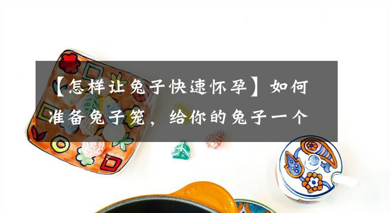 【怎样让兔子快速怀孕】如何准备兔子笼，给你的兔子一个舒适的窝