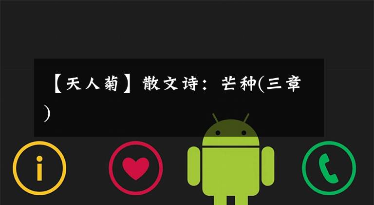 【天人菊】散文诗：芒种(三章)